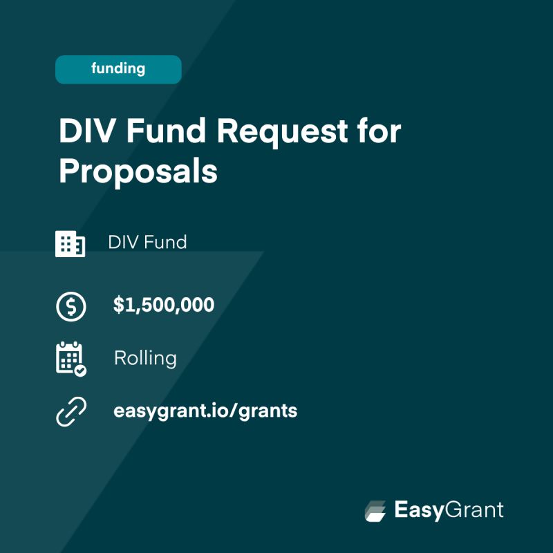 Apply for the DV Fund For Non Profits and Institutions