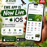 Built For Africa: Ewe Marketplace Enhancing Access to African Wellness Systems