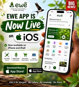 Built For Africa: Ewe Marketplace Enhancing Access to African Wellness Systems