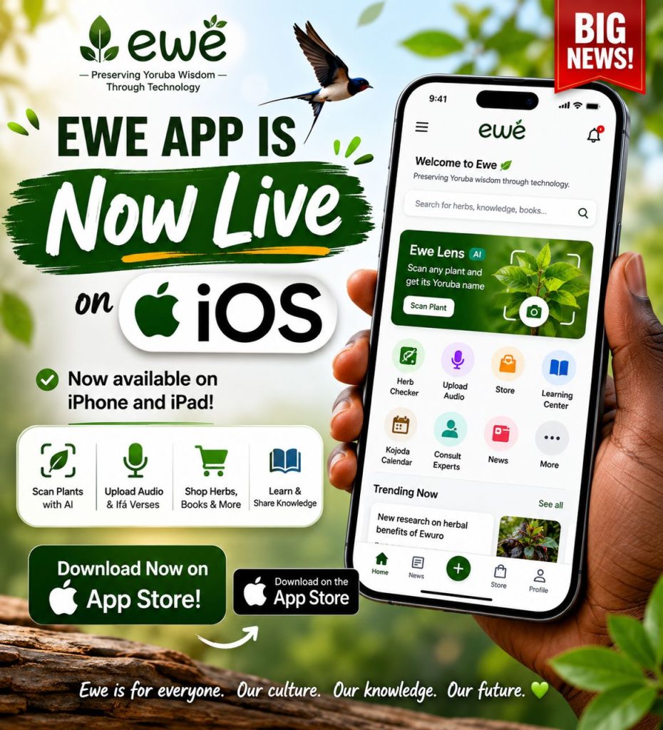 Built For Africa: Ewe Marketplace Enhancing Access to African Wellness Systems