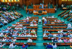 Does Your House of Reps Candidate Know What a Techie Actually Does? A Reality Check for Oyo’s Federal Constituencies