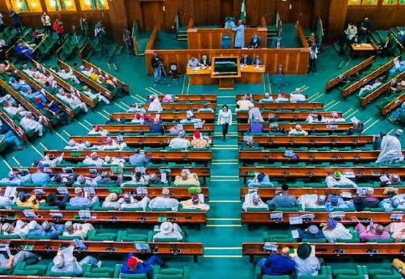 Does Your House of Reps Candidate Know What a Techie Actually Does? A Reality Check for Oyo’s Federal Constituencies